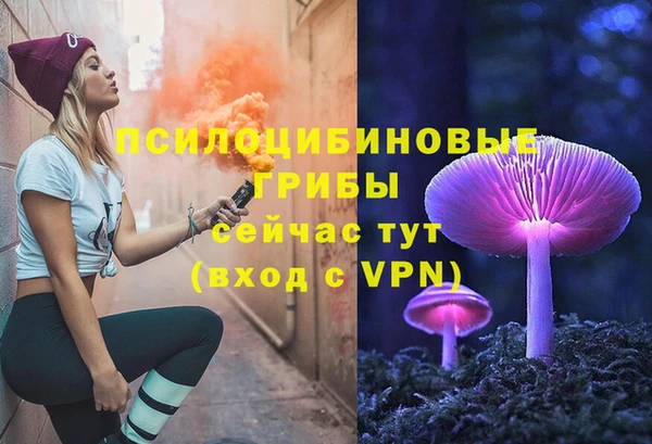 прущие грибы Белоозёрский