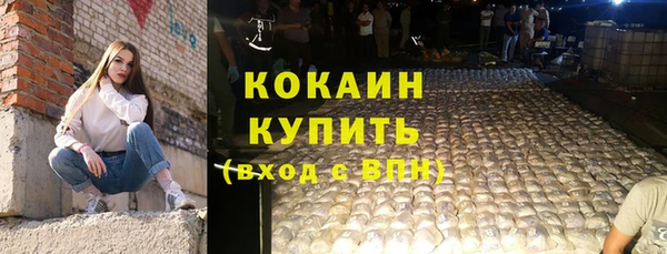 прущие грибы Белоозёрский